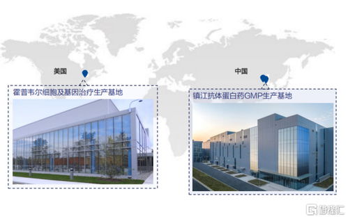 金斯瑞生物科技 營收大增81.9%，經調凈利增速超5倍，展現卓越盈利韌性